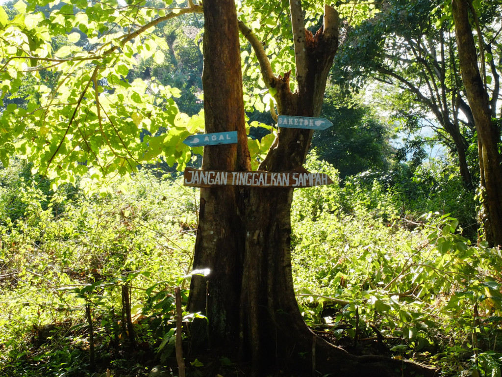 The trek is now well signed, thanks to Mr Erik and the team in Mantere village. There are even hand-carved signs asking trekkers to take their rubbish with them.