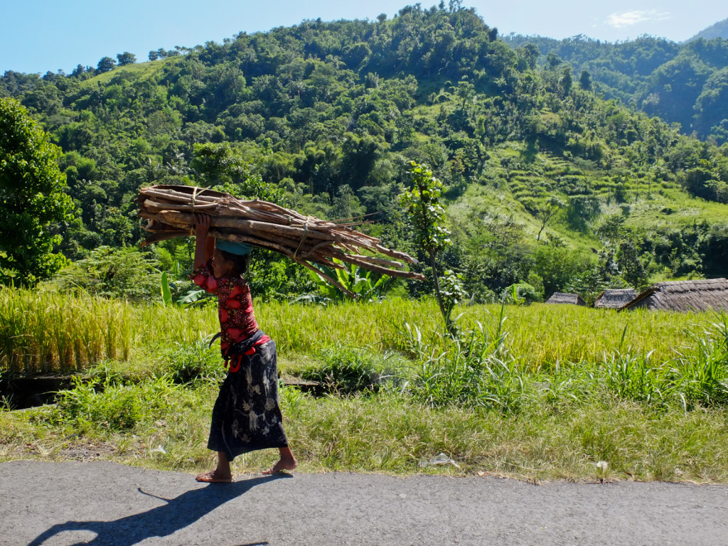 Village life in northern Bali