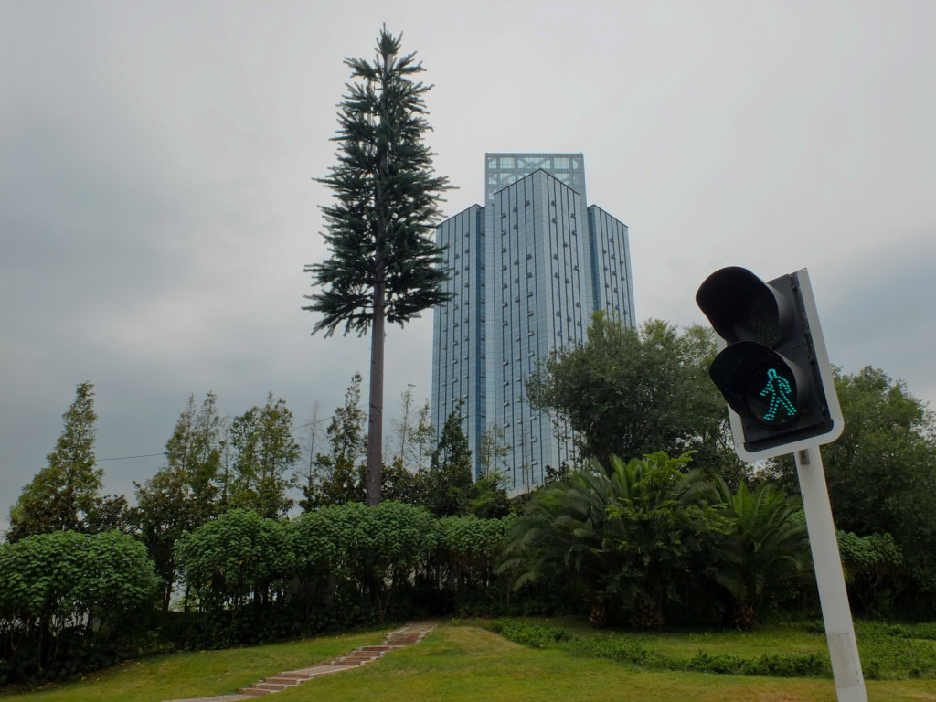 Chengdu, Sichuan Province: China seems to be making efforts to green its city streets. Here, you see a telephone tower disguised as a pine tree.