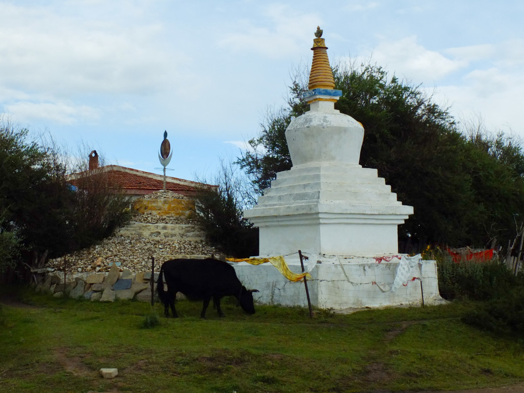 Yak & stupa